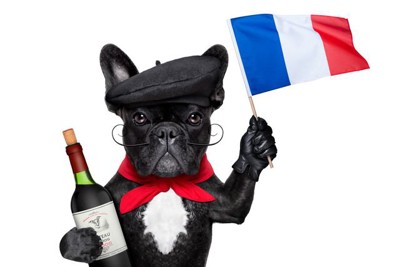 フランス国旗と犬