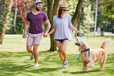 楽しそうに散歩するカップルと犬
