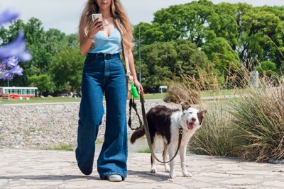 歩きスマホをしながら犬の散歩をする女性
