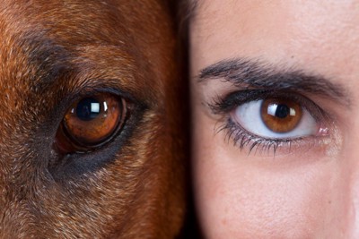 犬の目と女性の目のクローズアップ