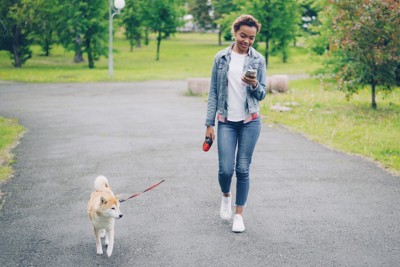 スマートフォンを見ながら散歩する女性と柴犬