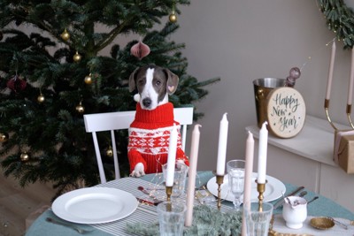 クリスマスの食卓に座る犬
