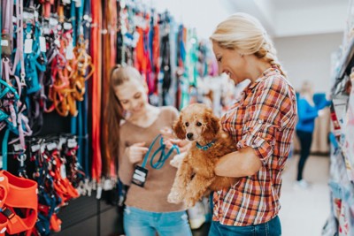 買い物する親子と犬