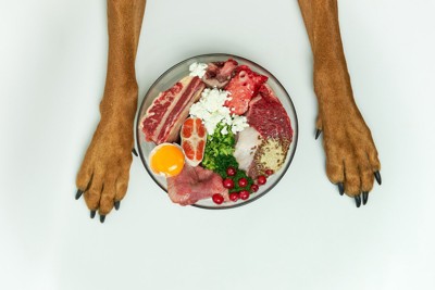 犬の両手とお肉などの食材