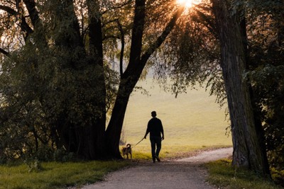 散歩する犬と男性のシルエット