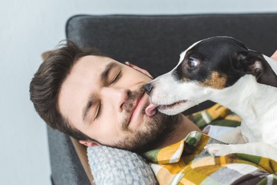 寝ている男性の口元を舐める犬
