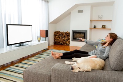 ソファでテレビを見る女性と犬