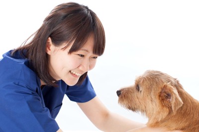 見つめ合う女性獣医師と犬