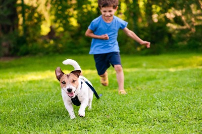 走る犬と男の子