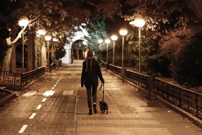 夜道を散歩する人と犬