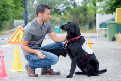 トレーニング中の犬とトレーナー