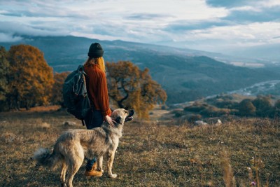 ハイキングする犬と女性
