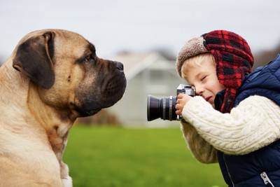 少年カメラマンに撮影される犬