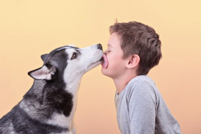男の子の顔を舐める犬