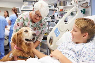 犬と触れ合う入院中の少年