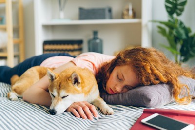 柴犬とベッドで眠る女性