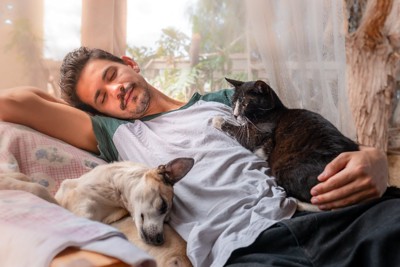 ソファーで犬と猫と眠る男性