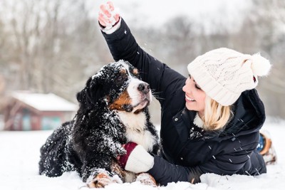 雪の中で遊ぶ女性と犬