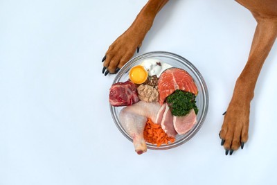 ボウルの中の生の食材と犬の手