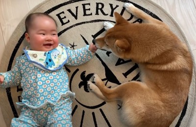 犬を見て笑う赤ちゃん