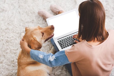 パソコンを見る女性のそばに寄り添う犬