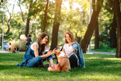 公園で犬と遊ぶ2人の女性