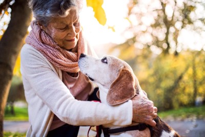高齢女性と犬