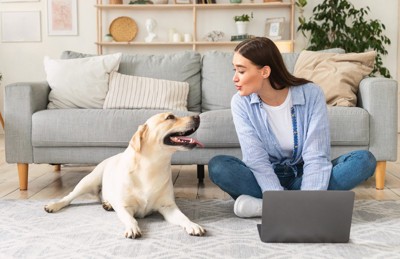 PCをしながら犬に話しかける女性