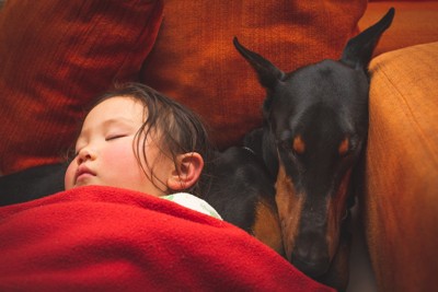 犬と寝る少女