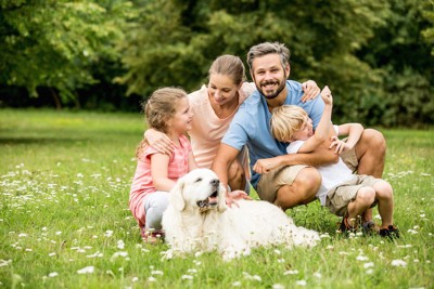 芝生の上で遊ぶ家族と犬