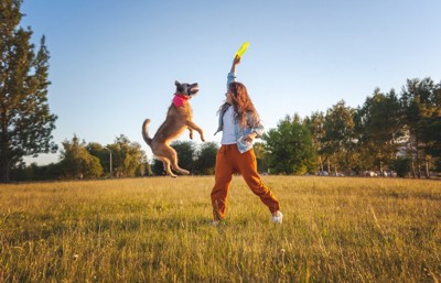 屋外で遊ぶ女の子と犬