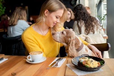 一緒にレストランで食事する犬と女性