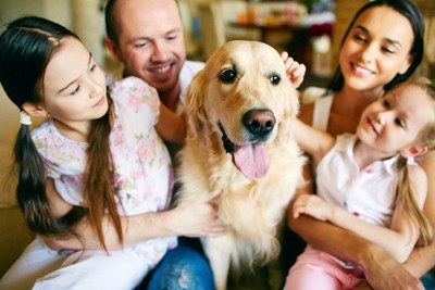 笑顔の犬と家族