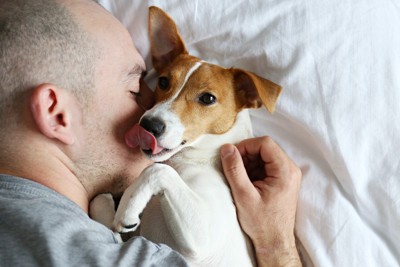 ベッドで寝ている男性と犬