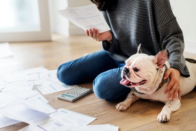 家計費を見る女性と犬