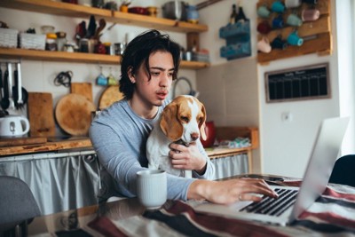男性と一緒にパソコン画面を見る犬