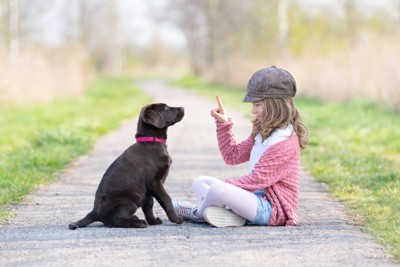 トレーニングする子犬と少女