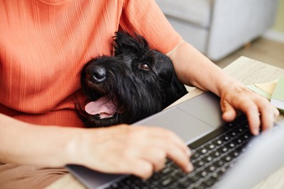 パソコンを打つ人と犬
