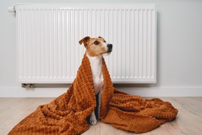 暖房器具の前に座る犬