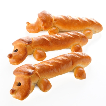 犬のパン