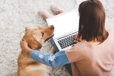 パソコン作業をする女性に寄り添う犬