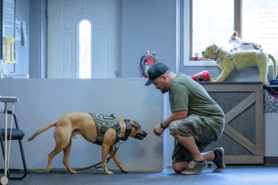 退役軍人とセラピー犬