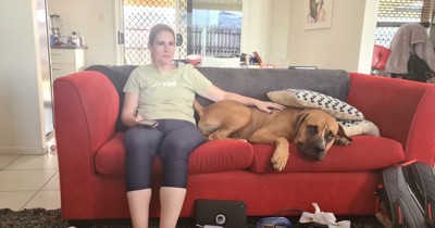 ソファに座る女性と茶色の犬