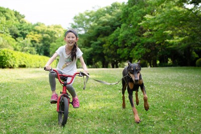 自転車に乗って犬の散歩をする女の子