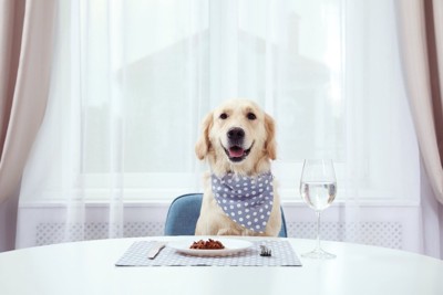 テーブルで食事する犬
