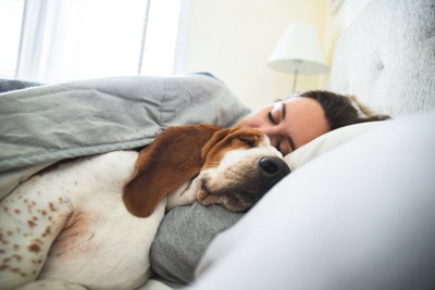 犬と添い寝する女性