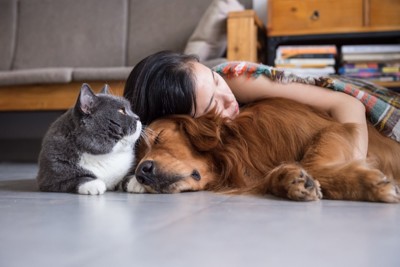 床で寝そべる犬と猫と女の子