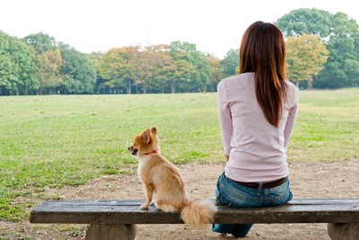 女性に背中を向けて座る犬