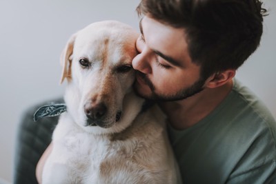 男性に抱かれてキスをされている犬