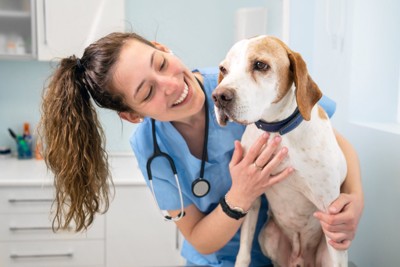 動物看護師と犬